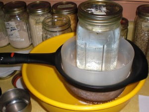 vegan chocolate cashew cheese culturing